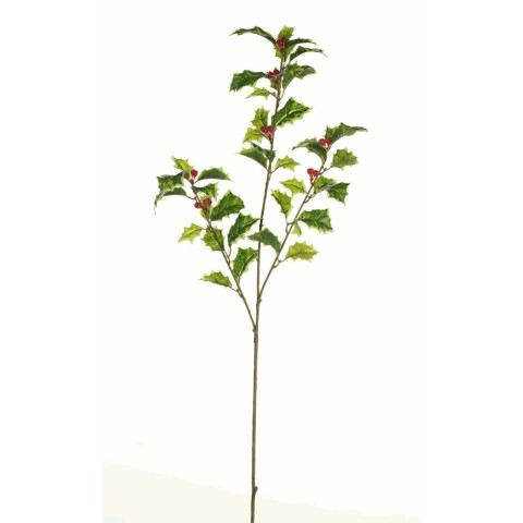 HOLLY SPRAY X3 VARIEGATO CON BERRY H.62